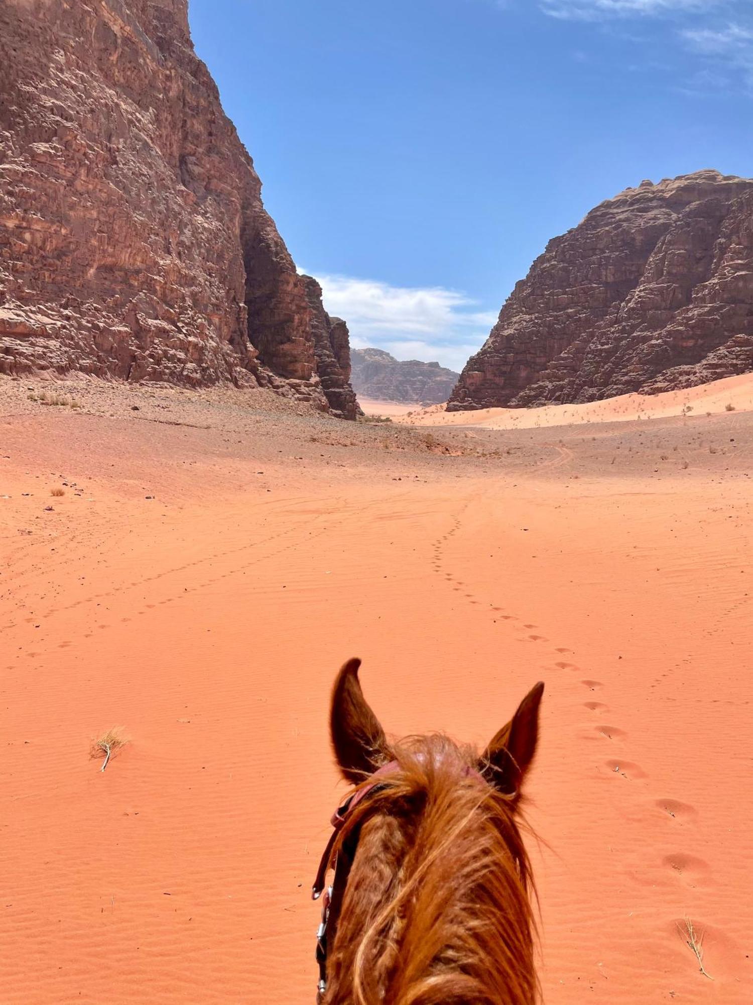 ホテル Salameh'S Bedouin Camp ワディ ・ラム エクステリア 写真