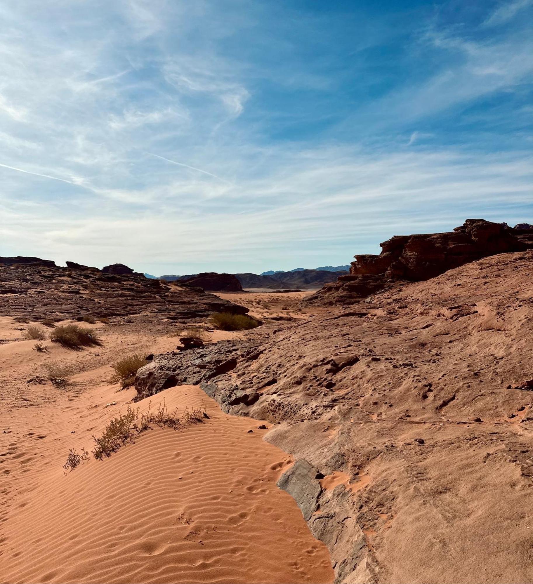 ホテル Salameh'S Bedouin Camp ワディ ・ラム エクステリア 写真